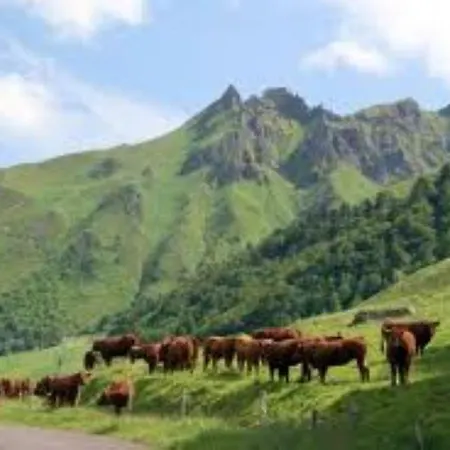 Apartment Lilas, Saint Antoine, Orcival, Entre Sancy Et Volcans. Orcival